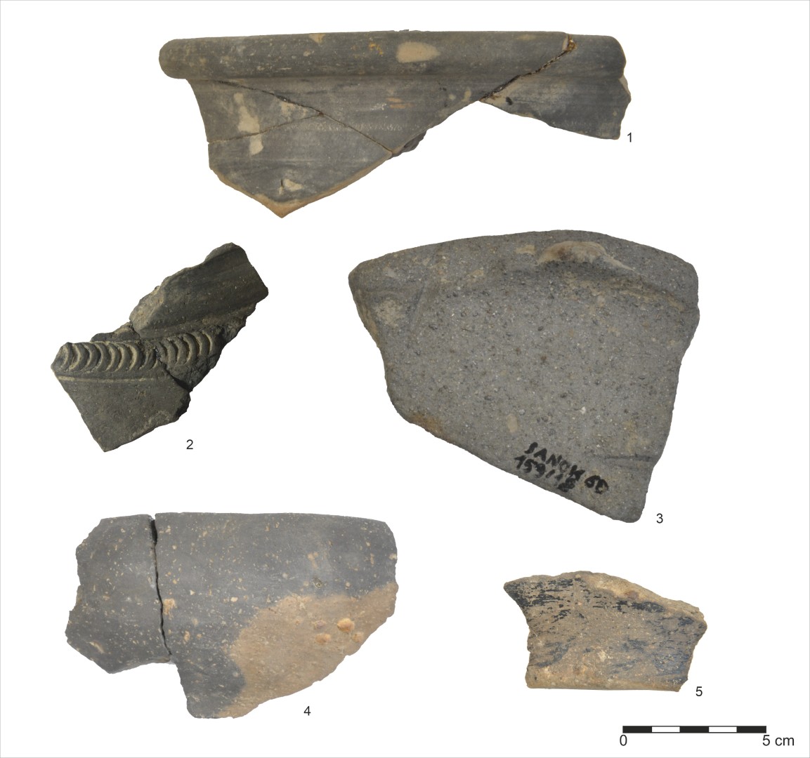 Sanok, stan. 59&ndash;60. Wyb&oacute;r ceramiki: 1-3: fragmenty naczyń wykonanych na kole garncarskim; 4, 5 &ndash; fragmenty ceramiki lepionej ręcznie